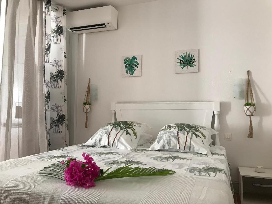 סן-פרנסואה Coeur Tiare Studio Lounge Piscine Plage Cocotiers מראה חיצוני תמונה